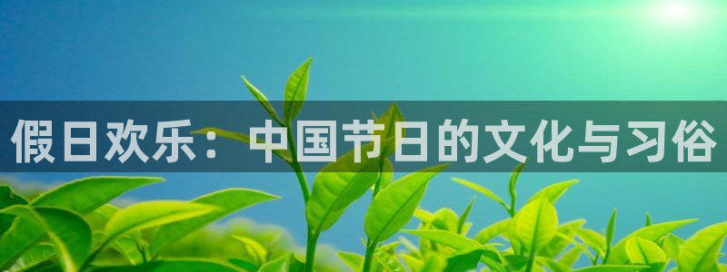 新城平台体育娱乐注册链接：假日欢乐：中国节日的文化与习俗